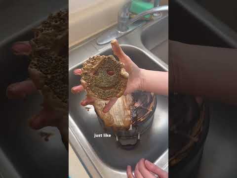 Scrubdaddy gel VS Dawn dish soap #cleaningvideos #comparison #cleantok #scrubmommy #cleaningmotive