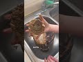 Scrubdaddy Gel VS Dawn Dish Soap Cleaningvideos Comparison Cleantok Scrubmommy Cleaningmotive
