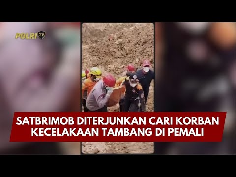 PRESISI UPDATE : SATBRIMOB DITERJUNKAN CARI KORBAN KECELAKAAN TAMBANG DI PEMALI 08/02/2026 (20.00)