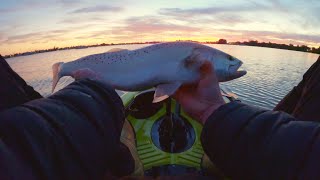 Inshore Kayak Fishing St. Pete Florida - Big Trout on Z-Man Shrimp