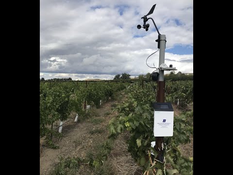 Quick guide to using Zentra Cloud