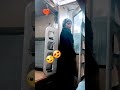 Train Travel Feeling Romance ️ Shortvideo