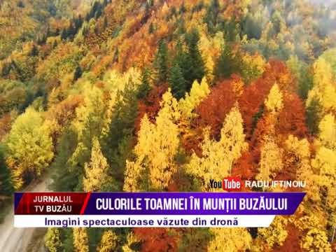 Culorile toamnei in muntii Buzaului