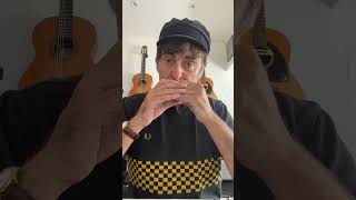 A Message To You Rudy Harmonica