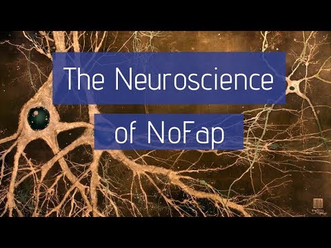 Watch — The Neuroscience of NoFap: Why Pornography Changes the Brain