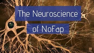 The Neuroscience of NoFap | Why Pornography Changes the Brain The Neuroscience of NoFap | Why Pornography Changes the Brain