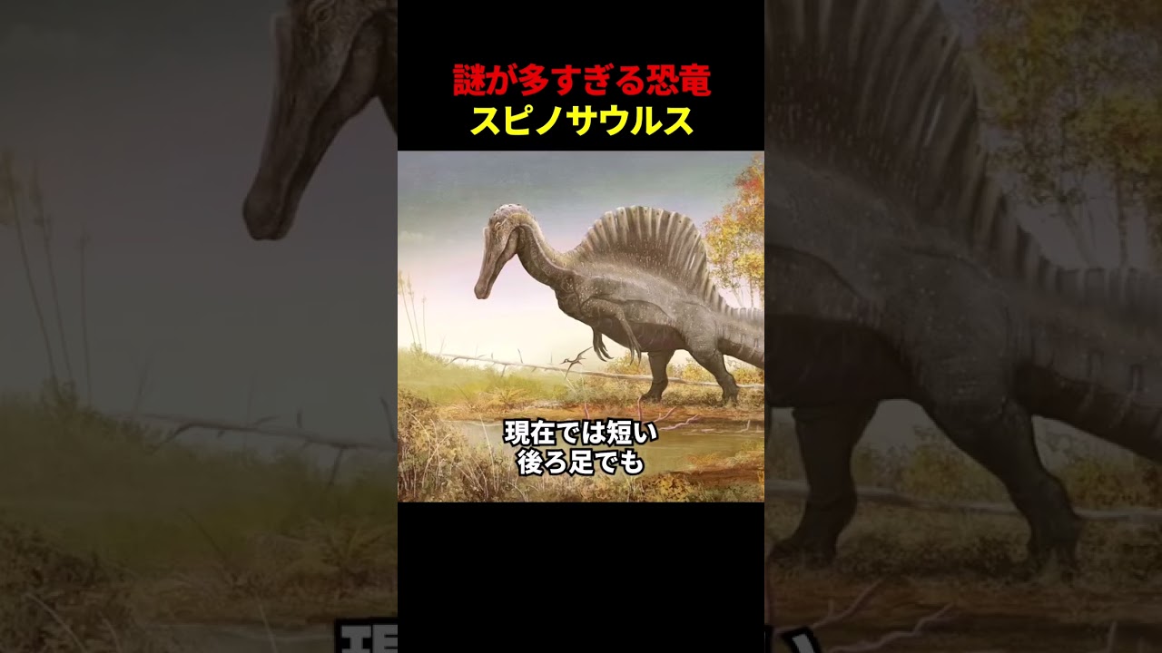 最も謎の多い恐竜 #雑学 #プチ知識 #解説