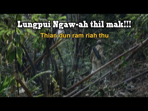 Lungpui ngawa riah thu (Hmanlai an chang ta)