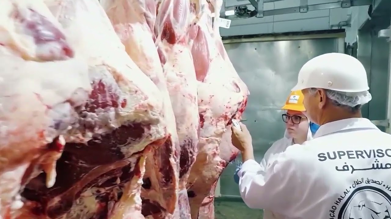 Mercado de bioinsumos soma R$ 1,8 bi no 1º semestre | Giro de Notícias