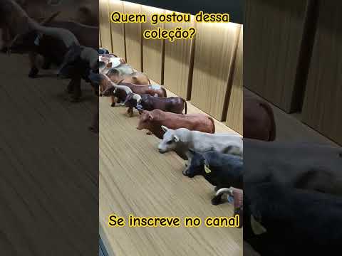MINHA COLEÇÃO DE ANIMAIS DA FAZENDA