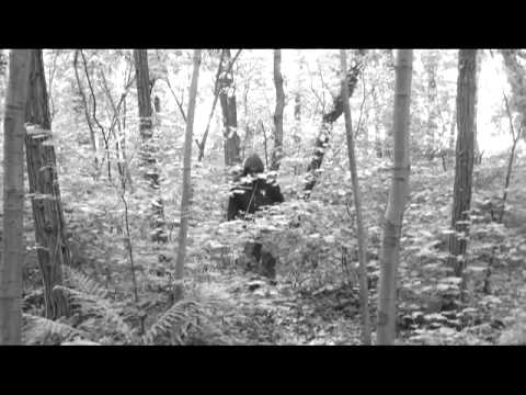 The River . P.Paul Fenech