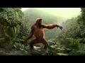 ► Un orang-outan qui a le rythme dans la peau ! (publicité Rynkeby)