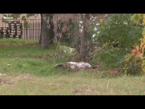 Lajosvárosi remény - 2014.11.06.