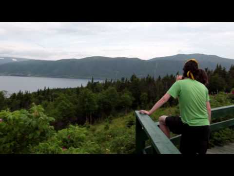 download lagu mp3 mp4 Newfoundland Wildflowers, download lagu Newfoundland Wildflowers gratis, unduh video klip Newfoundland Wildflowers