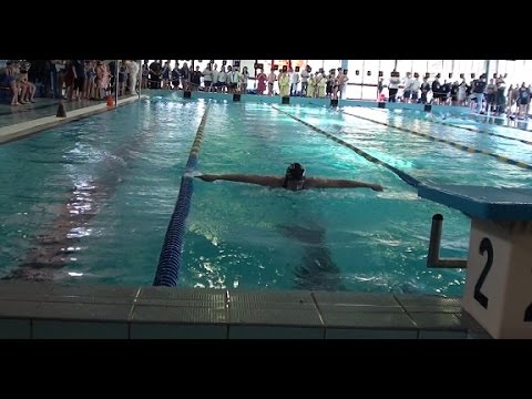 Il trofeo campus Maior al nuoto Lucca