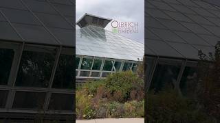 Olbrich Botanical Gardens — A Peaceful Walk Through Madison’s Hidden Paradise 🌿 #BotanicalGardens