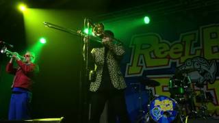 15 - Alternative Baby - Reel Big Fish (Live in Raleigh, NC - 01/22/17)