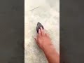 Wait For End ️ ️ Shorts Dangerous Danger Khatra