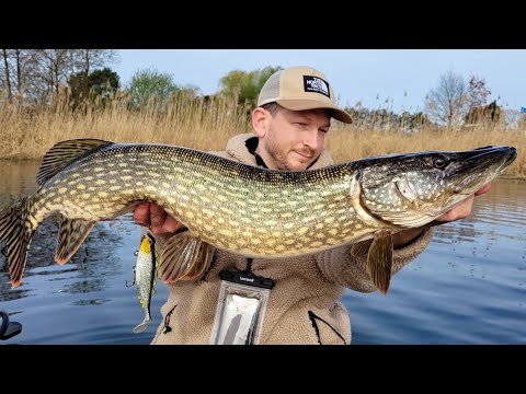 Große Hechte im Frühjahr. So klappt es. Angeln auf Hechte in Brandenburg