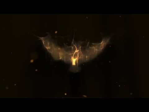 Phoenix Animation - TranSign Media Video