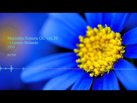 Marimba Sonora GC voll.20 Llorando bailando 2015 - HD