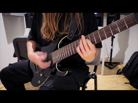 Ibanez RGIR28FE-BK Iron Label 2013 Black image 20