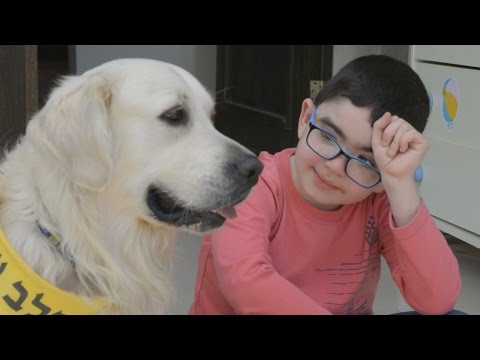 כלב עזר לילדים הסובלים מניוון שרירים