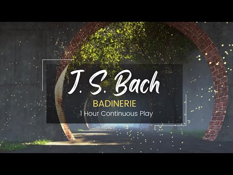 Badinerie by J. S. Bach | 1 Hour Continuous Play