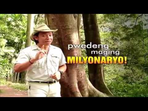 Kung paano mas payat daliri Sopas na may kintsay para sa pagbaba ng timbang mga review