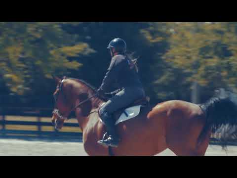 Callan Solem on Steadfast Equine by Arenus Animal Health