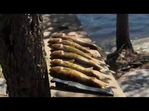 Midwest Outdoors #1677 - Ontario Adventure at Woman River Camp #2