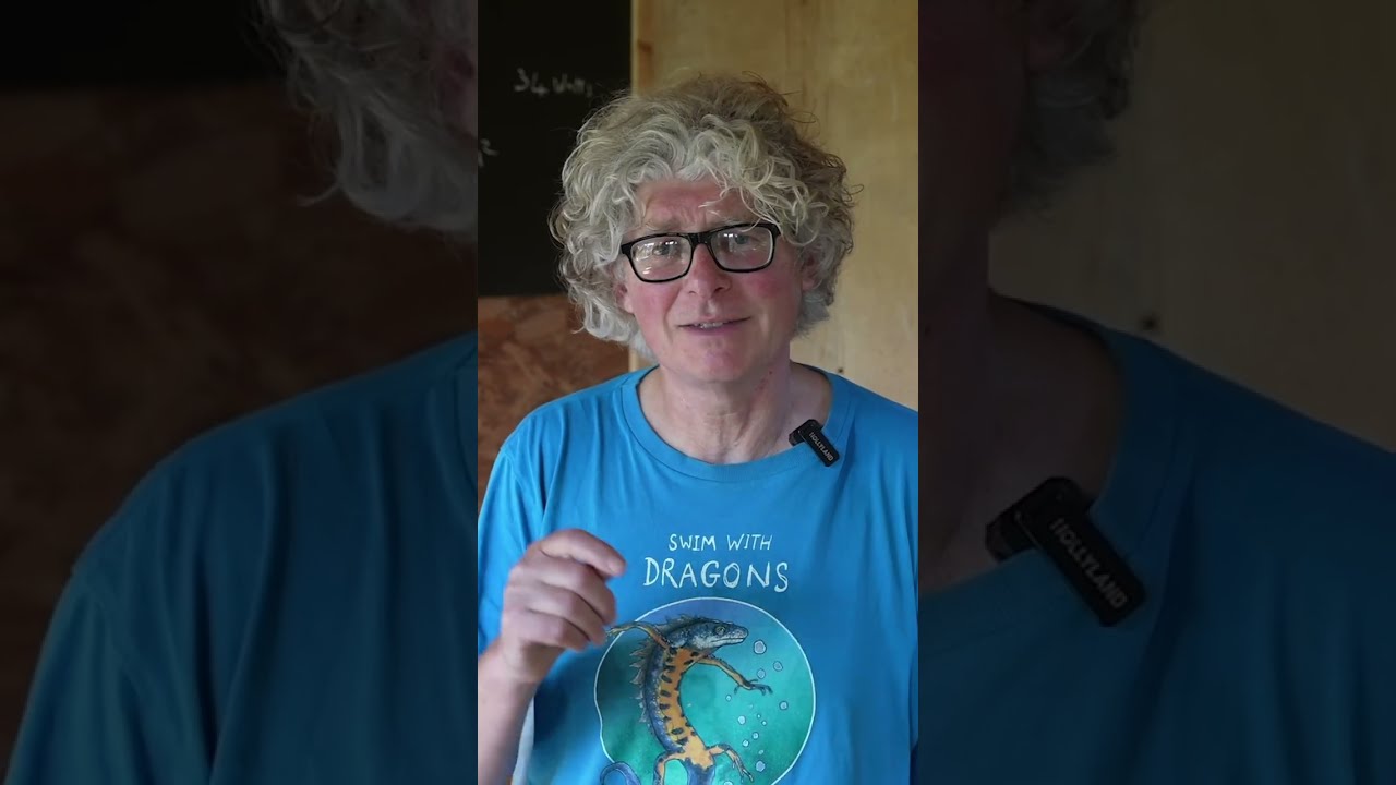 On Water Safety - The Pond Pool Guy Reacts