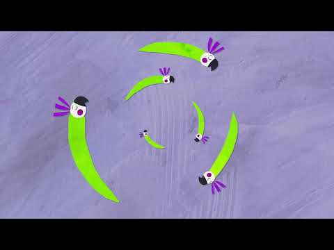 MARIANA BAGGIO - YO NO TOCO LOS OROZCO - VIDEO OFICIAL