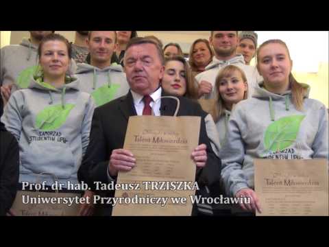 Talent miłosierdzia 2017