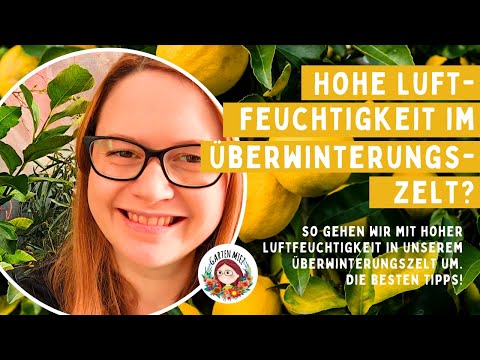 High humidity in the winter tent 🌿 | Our solution in the Florino size M