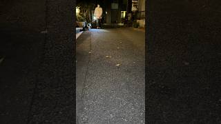 パパが目の前で待ってるのに気付かずに通り過ぎるフレブル