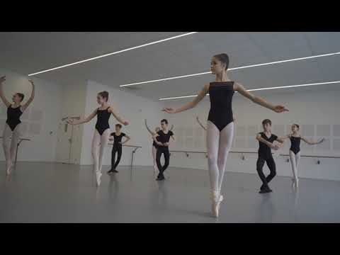 Clip de présentation de l'Académie de Danse Carole Massoutie.