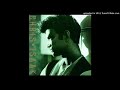Chris Isaak - Wild Love