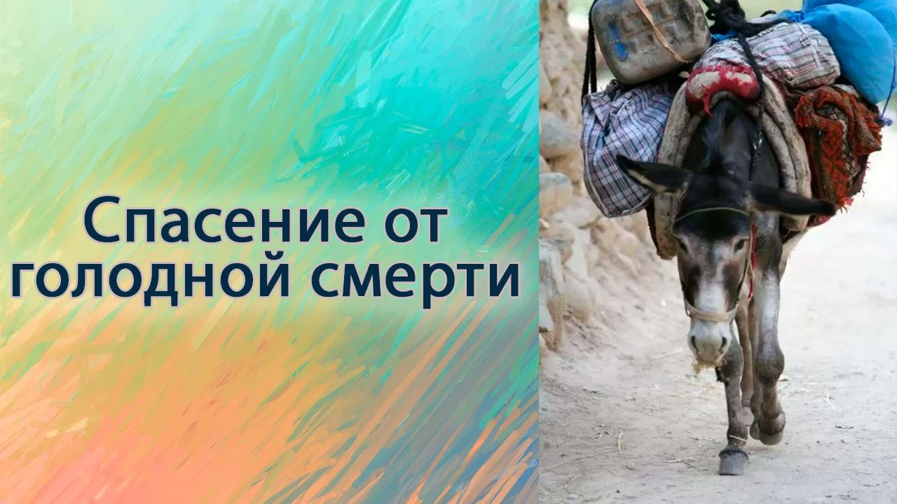 Спасение от голодной смерти.