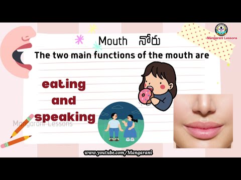 Learn a word a day, level 1