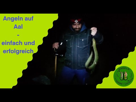 Angeln auf Aal - einfach und erfolgreich #04