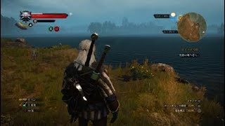 いざ、ウィッチャー３ワイルドハントの世界へ#8