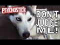 Dogs Like Socks by PSYCHOSTICK [Official] "I'm ...