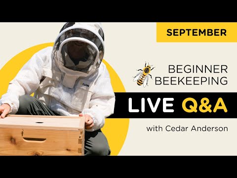 , title : 'Beginner beekeeper Q&A