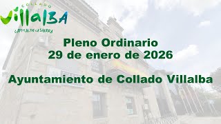 Pleno Ordinario 29/01/2026