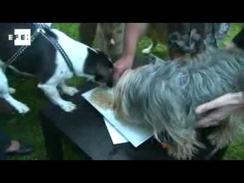 YouTube video
