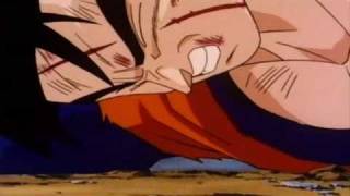 DBZ Refugee Amv