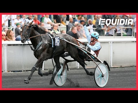 CRITÉRIUM DES 5 ANS 2013 : UP AND QUICK