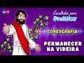 PERMANACER NA VIDEIRA Coreografia