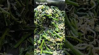 Download lagu sayur bayam dan toge rebus mp3